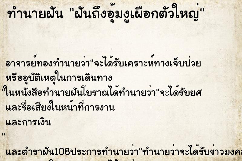 ทำนายฝันฝันถึงอุ้มงูเผือกตัวใหญ่ ทำนายฝันทำนายฝันฝันถึงอุ้มงูเผือกตัวใหญ่