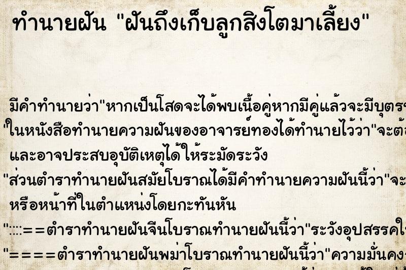 ทำนายฝันทำนายฝันฝันถึงเก็บลูกสิงโตมาเลี้ยง