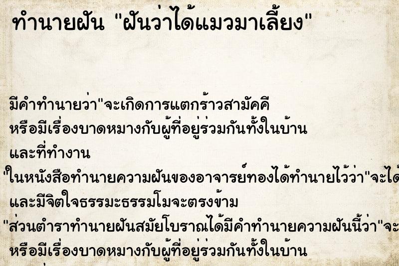 ทำนายฝัน ฝันว่าได้แมวมาเลี้ยง ทำนายฝัน ฝันว่าได้แมวมาเลี้ยง