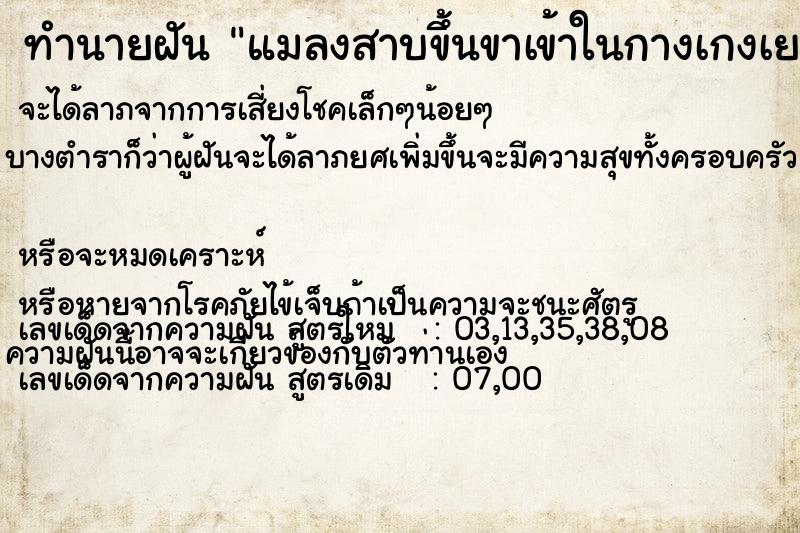 ทำนายฝัน แมลงสาบขึ้นขาเข้าในกางเกงเยอะมาก ทำนายฝัน แมลงสาบขึ้นขาเข้าในกางเกงเยอะมาก