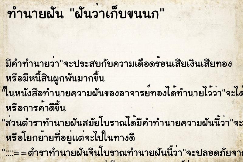 ทำนายฝัน ฝันว่าเก็บขนนก ทำนายฝัน ฝันว่าเก็บขนนก