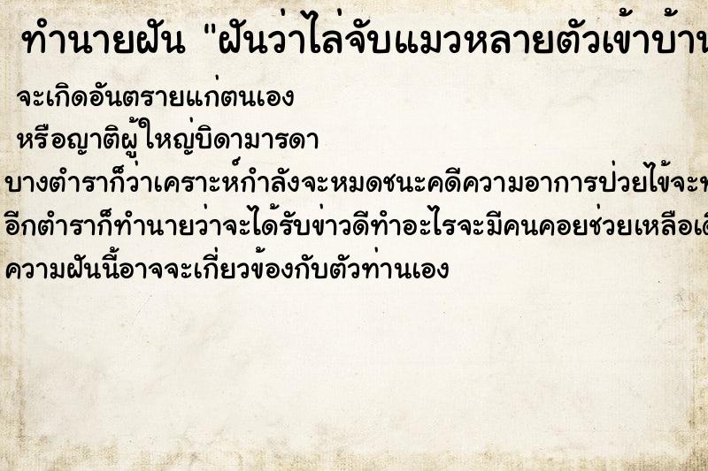 ทำนายฝัน ฝันว่าไล่จับแมวหลายตัวเข้าบ้าน ทำนายฝัน ฝันว่าไล่จับแมวหลายตัวเข้าบ้าน