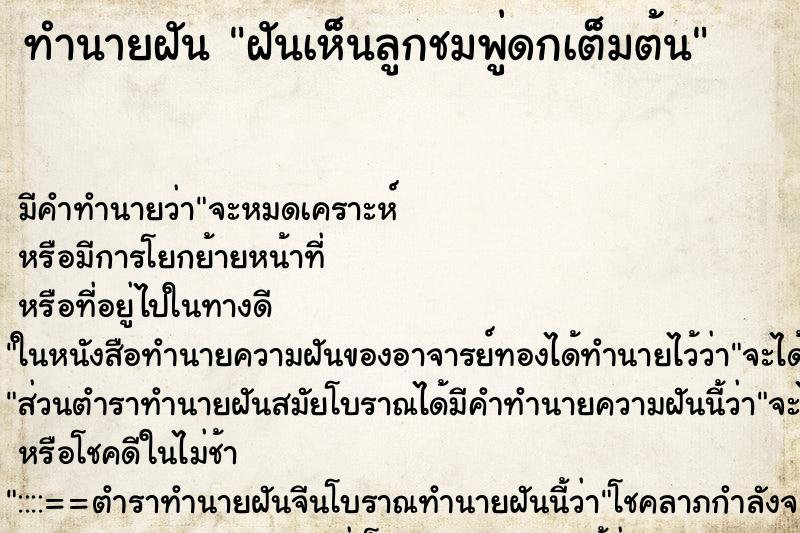 ทำนายฝัน ฝันเห็นลูกชมพู่ดกเต็มต้น ทำนายฝัน ฝันเห็นลูกชมพู่ดกเต็มต้น
