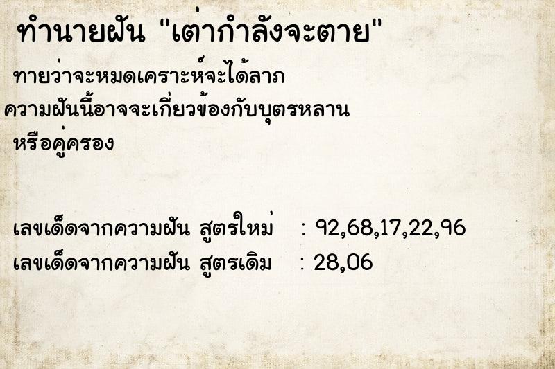 ทำนายฝันเต่ากำลังจะตาย ทำนายฝันทำนายฝันเต่ากำลังจะตาย