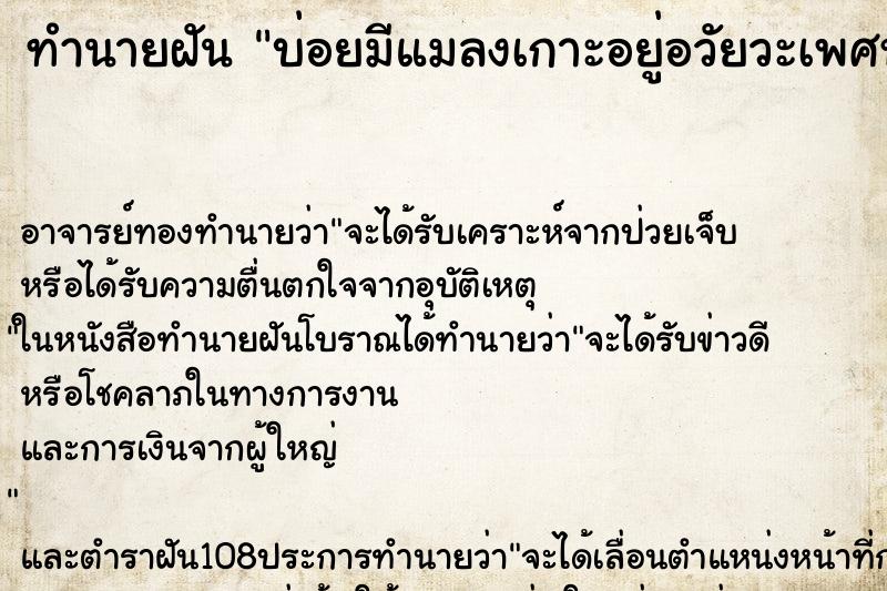 ทำนายฝันบ่อยมีแมลงเกาะอยู่อวัยวะเพศหญิง ทำนายฝันทำนายฝันบ่อยมีแมลงเกาะอยู่อวัยวะเพศหญิง