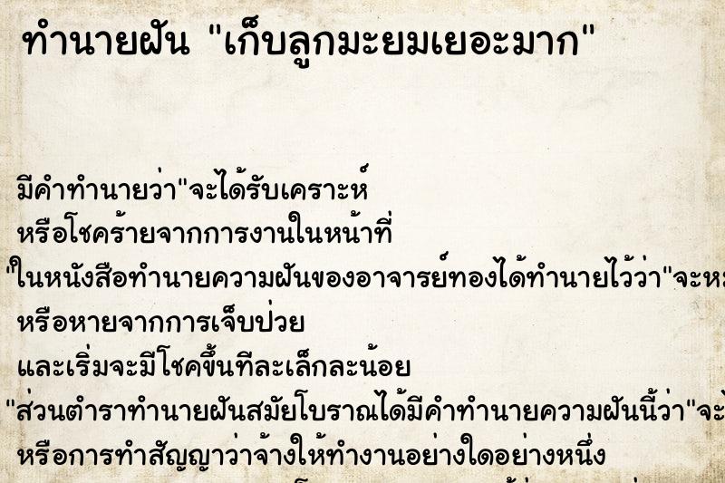 ทำนายฝัน เก็บลูกมะยมเยอะมาก