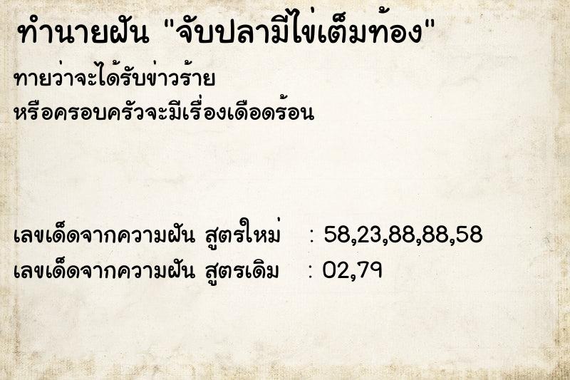 ทำนายฝัน จับปลามีไข่เต็มท้อง ทำนายฝัน จับปลามีไข่เต็มท้อง