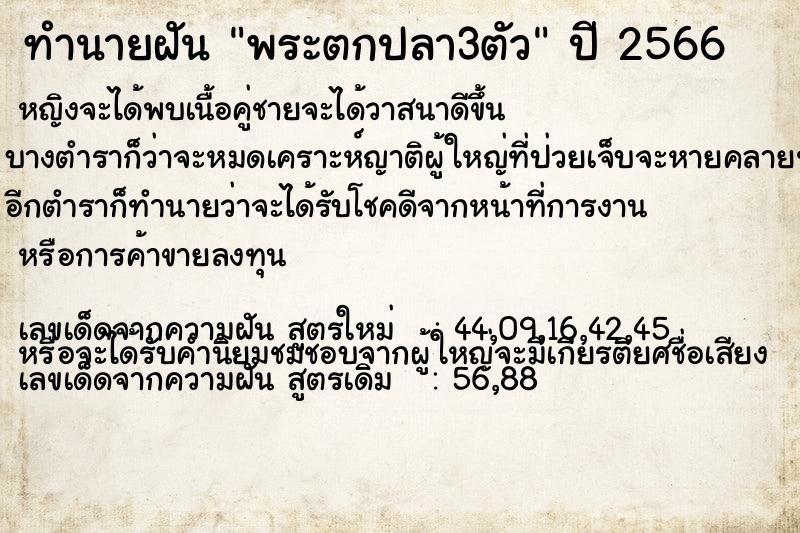 ทำนายฝันทำนายฝันพระตกปลา3ตัว