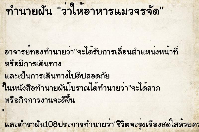 ทำนายฝันว่าให้อาหารแมวจรจัด ทำนายฝันทำนายฝันว่าให้อาหารแมวจรจัด