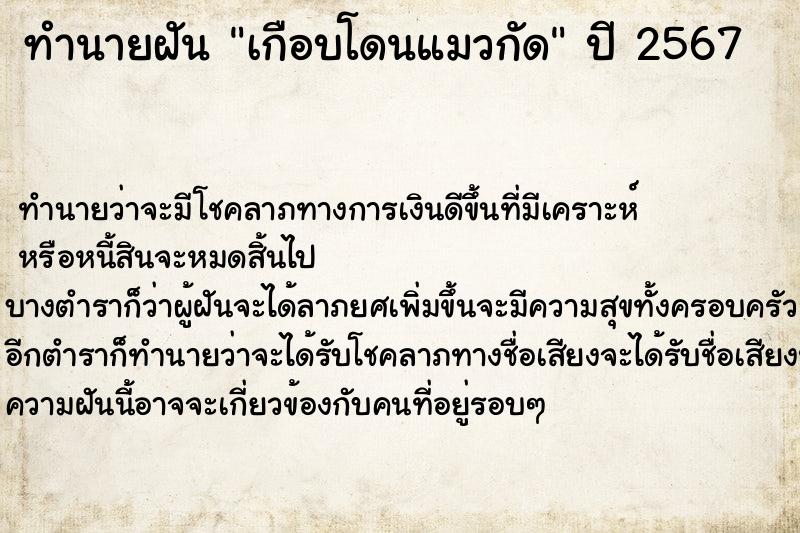 ทำนายฝัน เกือบโดนแมวกัด ทำนายฝัน เกือบโดนแมวกัด