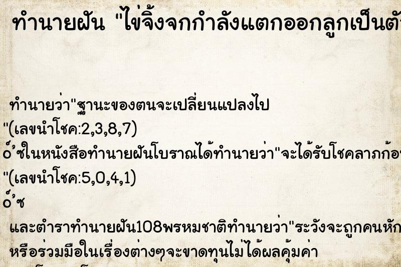 ทำนายฝันไข่จิ้งจกกำลังแตกออกลูกเป็นตัว ทำนายฝันทำนายฝันไข่จิ้งจกกำลังแตกออกลูกเป็นตัว