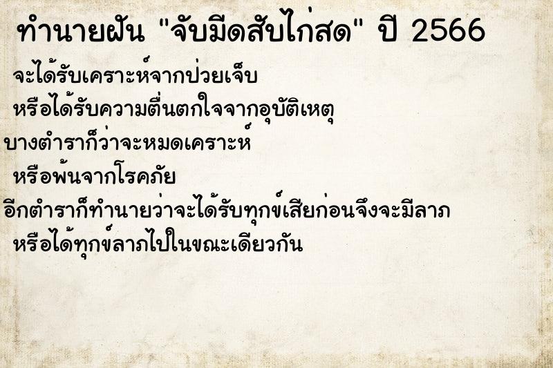 ทำนายฝัน จับมีดสับไก่สด ทำนายฝัน จับมีดสับไก่สด