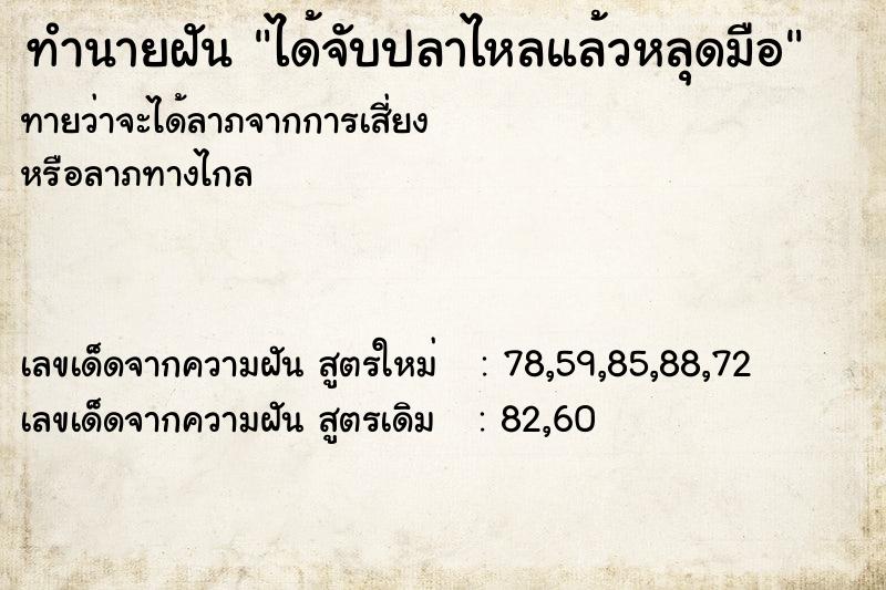ทำนายฝันทำนายฝันได้จับปลาไหลแล้วหลุดมือ
