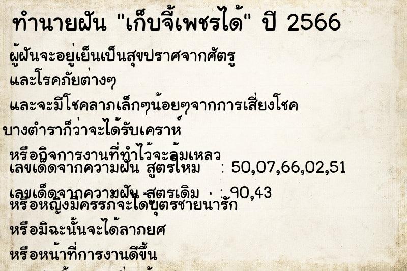 ทำนายฝัน เก็บจี้เพชรได้