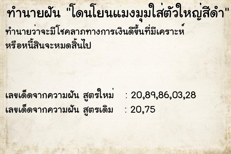 ทำนายฝัน โดนโยนแมงมุมใส่ตัวใหญ่สีดำ ทำนายฝัน โดนโยนแมงมุมใส่ตัวใหญ่สีดำ