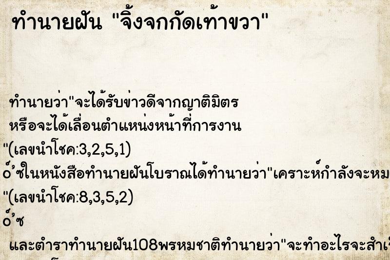 ทำนายฝันทำนายฝันจิ้งจกกัดเท้าขวา