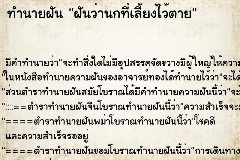 ทำนายฝัน ฝันว่านกที่เลี้ยงไว้ตาย ทำนายฝัน ฝันว่านกที่เลี้ยงไว้ตาย