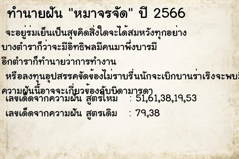 ทำนายฝัน หมาจรจัด ทำนายฝัน หมาจรจัด