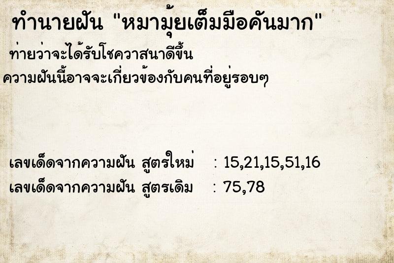 ทำนายฝันหมามุ้ยเต็มมือคันมาก ทำนายฝันทำนายฝันหมามุ้ยเต็มมือคันมาก