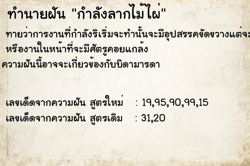 ทำนายฝันกำลังลากไม้ไผ่ ทำนายฝันทำนายฝันกำลังลากไม้ไผ่