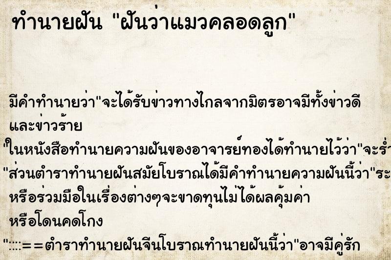 ทำนายฝัน ฝันว่าแมวคลอดลูก ทำนายฝัน ฝันว่าแมวคลอดลูก