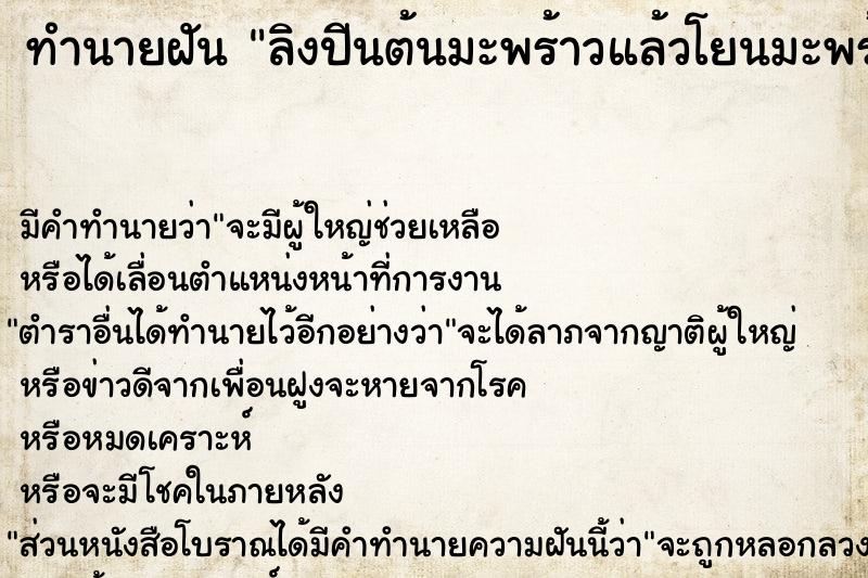 ทำนายฝันลิงปีนต้นมะพร้าวแล้วโยนมะพร้าวมาใส่ ทำนายฝันทำนายฝันลิงปีนต้นมะพร้าวแล้วโยนมะพร้าวมาใส่