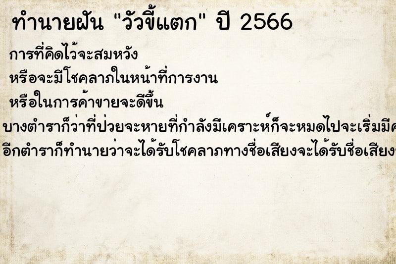 ทำนายฝันวัวขี้แตก ทำนายฝันทำนายฝันวัวขี้แตก