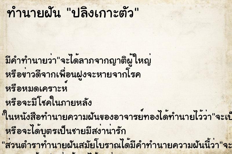ทำนายฝันปลิงเกาะตัว ทำนายฝันทำนายฝันปลิงเกาะตัว