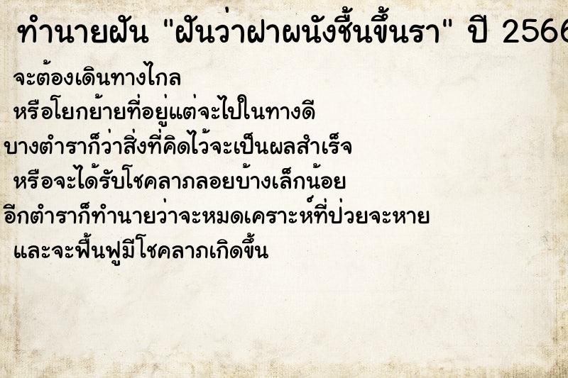 ทำนายฝันฝันว่าฝาผนังชื้นขึ้นรา ทำนายฝันทำนายฝันฝันว่าฝาผนังชื้นขึ้นรา