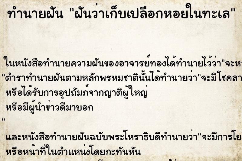 ทำนายฝัน ฝันว่าเก็บเปลือกหอยในทะเล ทำนายฝัน ฝันว่าเก็บเปลือกหอยในทะเล