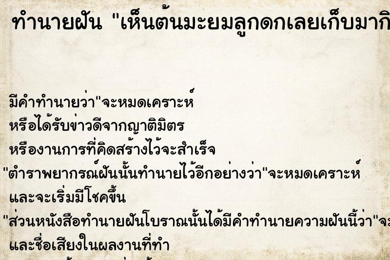 ทำนายฝันเห็นต้นมะยมลูกดกเลยเก็บมากิน ทำนายฝันทำนายฝันเห็นต้นมะยมลูกดกเลยเก็บมากิน