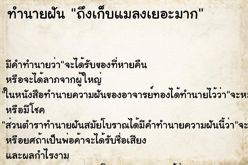 ทำนายฝัน ถึงเก็บแมลงเยอะมาก ทำนายฝัน ถึงเก็บแมลงเยอะมาก