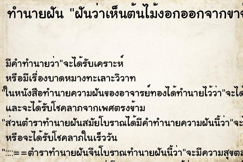 ทำนายฝัน ฝันว่าเห็นต้นไม้งอกออกจากขาข้างขวา ทำนายฝัน ฝันว่าเห็นต้นไม้งอกออกจากขาข้างขวา