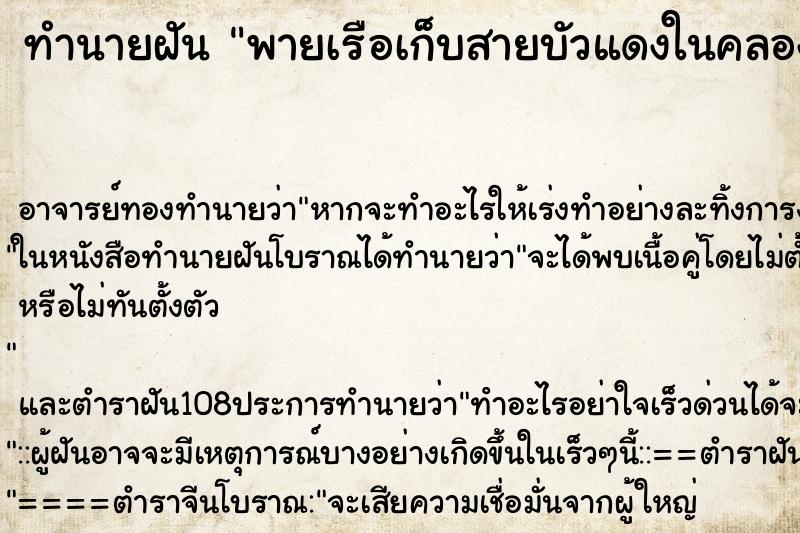 ทำนายฝันพายเรือเก็บสายบัวแดงในคลอง ทำนายฝันทำนายฝันพายเรือเก็บสายบัวแดงในคลอง