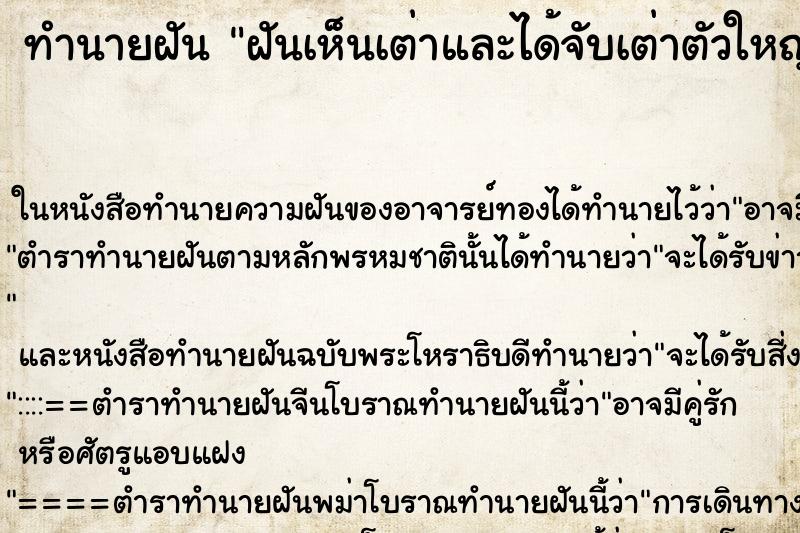 ทำนายฝันฝันเห็นเต่าและได้จับเต่าตัวใหญ่ ทำนายฝันทำนายฝันฝันเห็นเต่าและได้จับเต่าตัวใหญ่