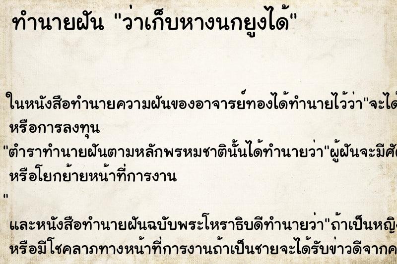 ทำนายฝันว่าเก็บหางนกยูงได้ ทำนายฝันทำนายฝันว่าเก็บหางนกยูงได้