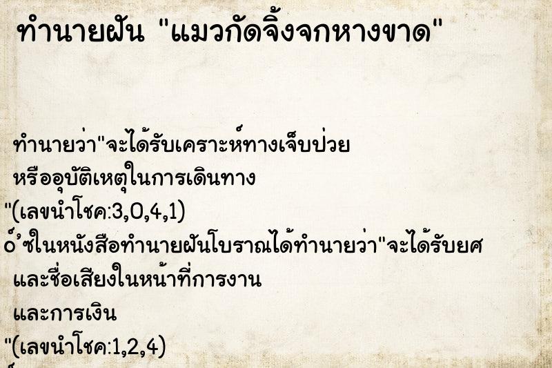 ทำนายฝันทำนายฝันแมวกัดจิ้งจกหางขาด