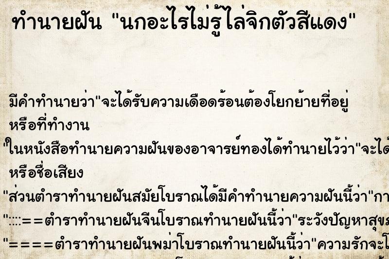 ทำนายฝันนกอะไรไม่รู้ไล่จิกตัวสีแดง ทำนายฝันทำนายฝันนกอะไรไม่รู้ไล่จิกตัวสีแดง