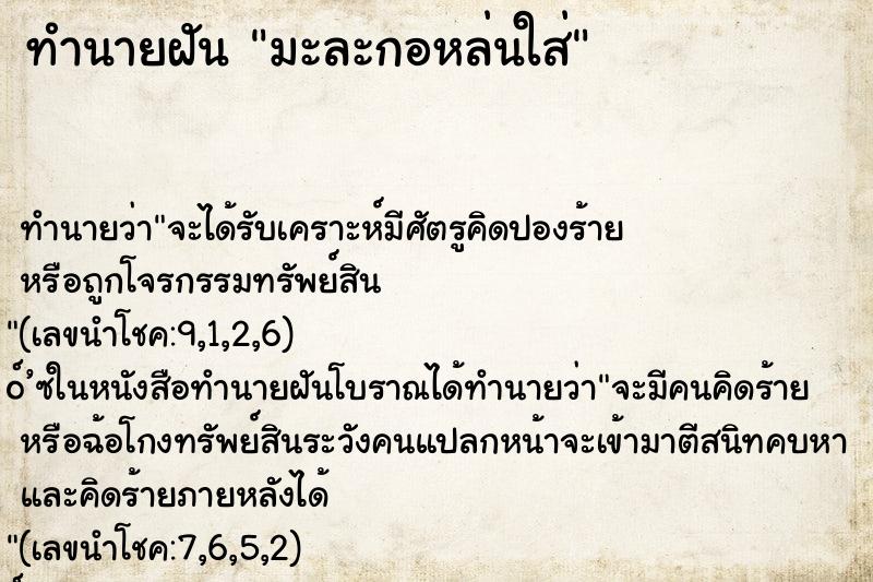 ทำนายฝันมะละกอหล่นใส่ ทำนายฝันทำนายฝันมะละกอหล่นใส่