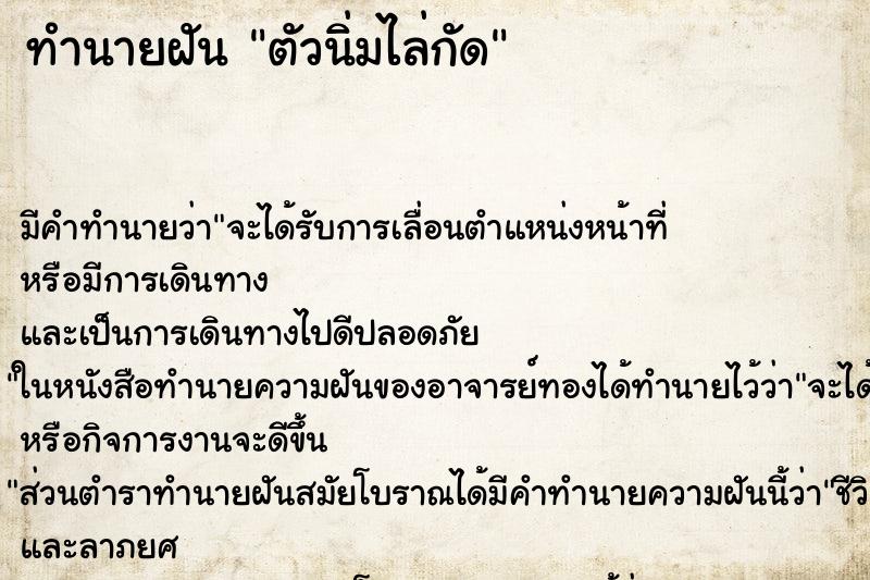 ทำนายฝัน ตัวนิ่มไล่กัด ทำนายฝัน ตัวนิ่มไล่กัด