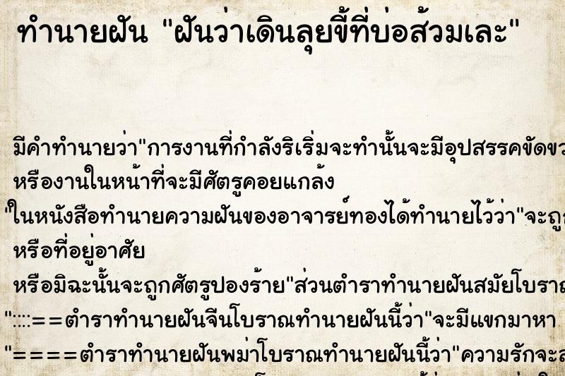 ทำนายฝัน ฝันว่าเดินลุยขี้ที่บ่อส้วมเละ ทำนายฝัน ฝันว่าเดินลุยขี้ที่บ่อส้วมเละ