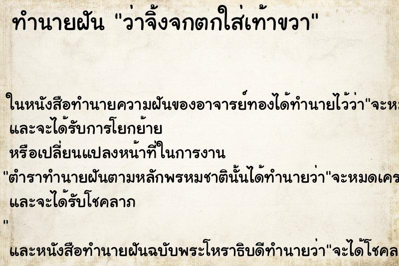 ทำนายฝันว่าจิ้งจกตกใส่เท้าขวา ทำนายฝันทำนายฝันว่าจิ้งจกตกใส่เท้าขวา