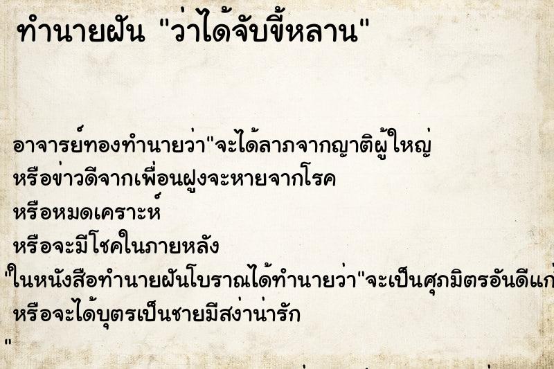 ทำนายฝันทำนายฝันว่าได้จับขี้หลาน
