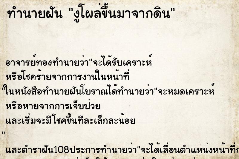 ทำนายฝัน งูโผล่ขึ้นมาจากดิน ทำนายฝัน งูโผล่ขึ้นมาจากดิน