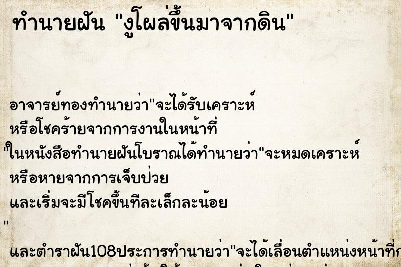 ทำนายฝัน งูโผล่ขึ้นมาจากดิน ตำราโบราณ แม่นที่สุดในโลก