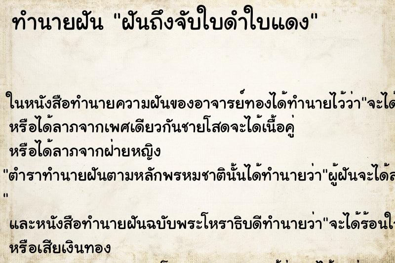 ทำนายฝันฝันถึงจับใบดำใบแดง ทำนายฝันทำนายฝันฝันถึงจับใบดำใบแดง