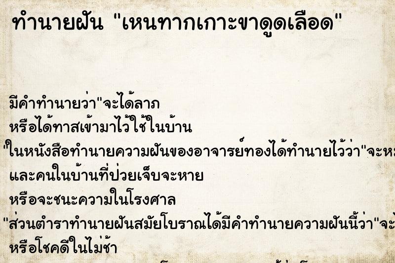ทำนายฝันเหนทากเกาะขาดูดเลือด ทำนายฝันทำนายฝันเหนทากเกาะขาดูดเลือด