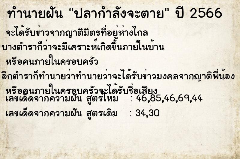 ทำนายฝันปลากำลังจะตาย ทำนายฝันทำนายฝันปลากำลังจะตาย