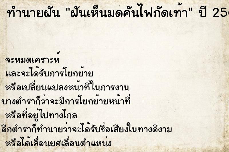 ทำนายฝันฝันเห็นมดคันไฟกัดเท้า ทำนายฝันทำนายฝันฝันเห็นมดคันไฟกัดเท้า