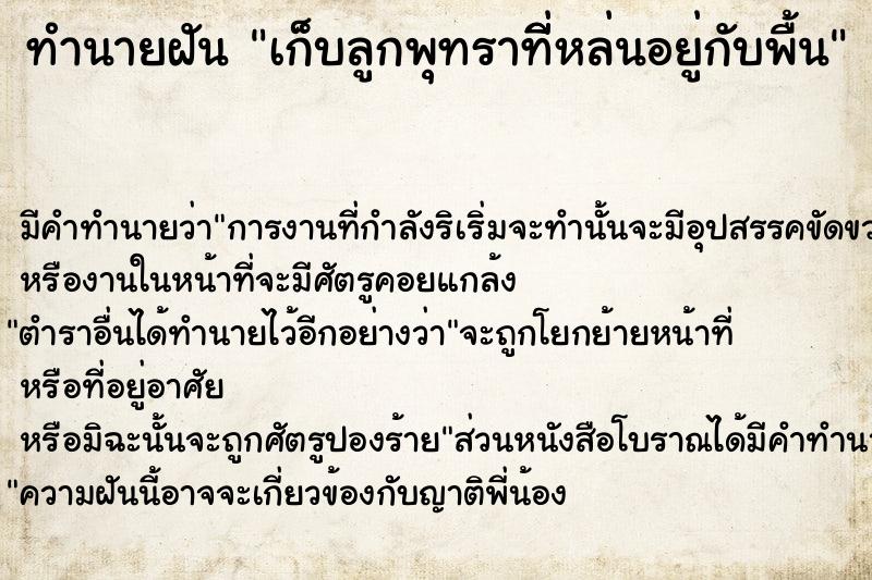 ทำนายฝัน เก็บลูกพุทราทีี่หล่นอยู่กับพื้น